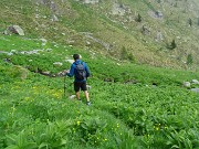 60 Bel verde intorno alla Baita Nicola ricca d'acqua 